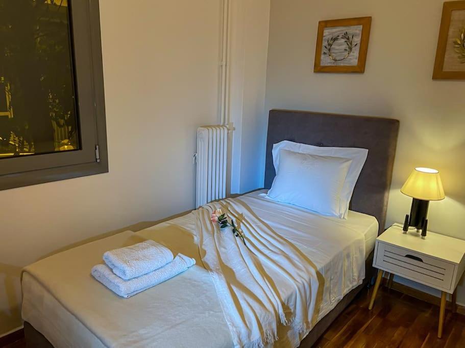 Cozy And Comfortable Apartment In Athens Center Bagian luar foto
